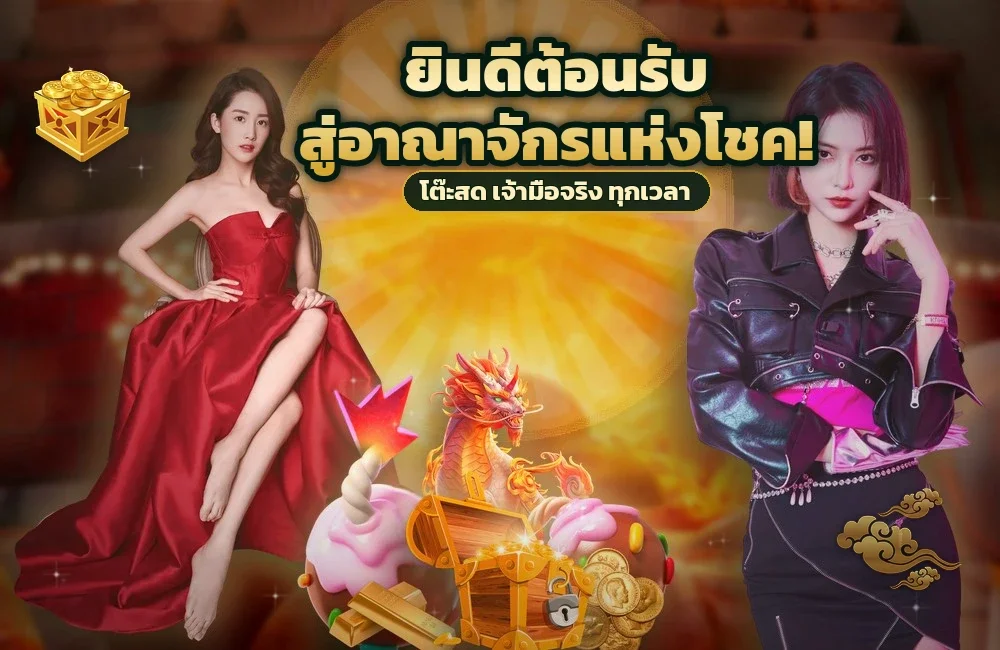 morroc168 เล่น บาคาร่า ทีละสเต็ปแบบมือใหม่ยังไม่เคยวาง